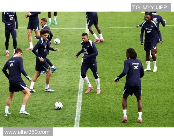 法国队与乌克兰精彩对决录像回放全程分析与精彩瞬间集锦