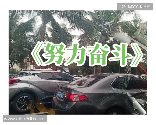 李添荣的成长之路：从平凡少年到杰出人才的奋斗故事与人生启示